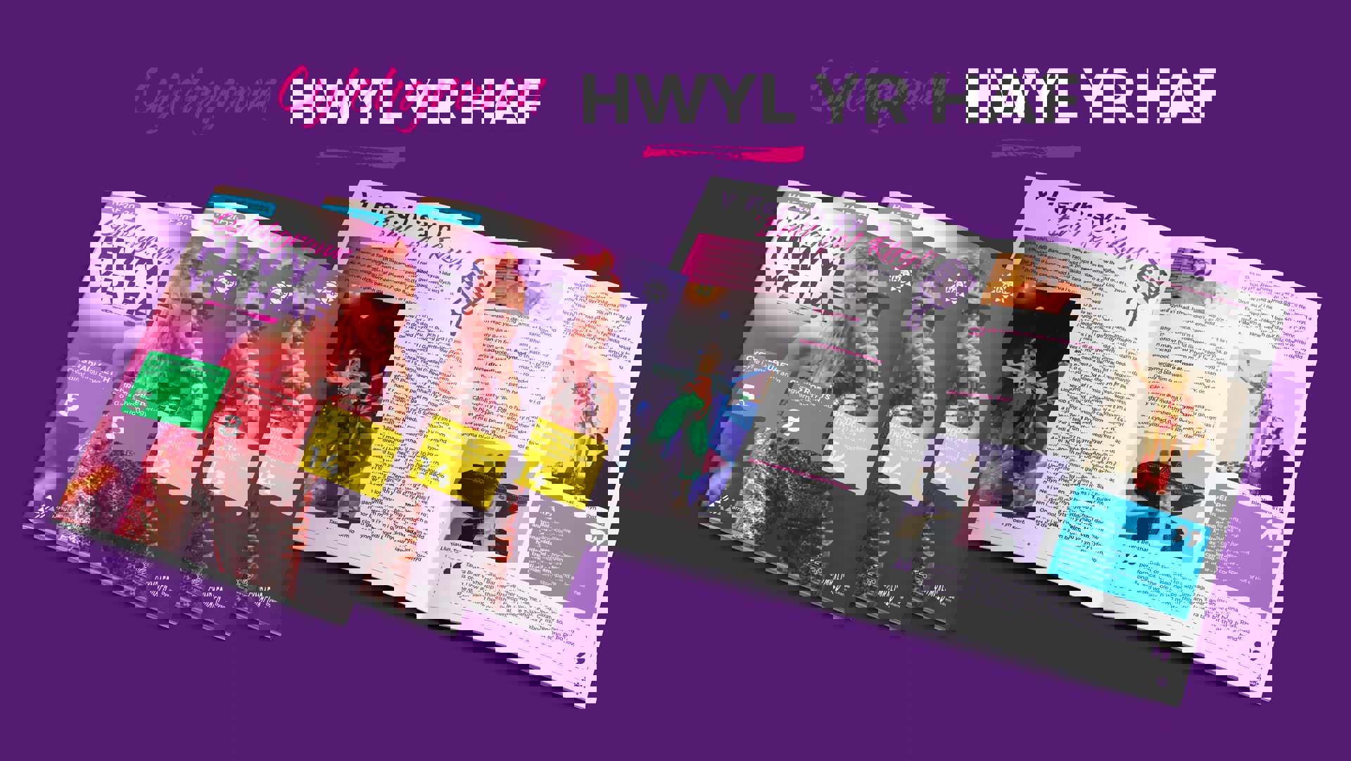 Hwyl yr Haf