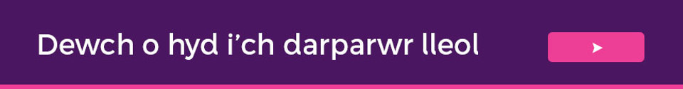 Darparwr lleol