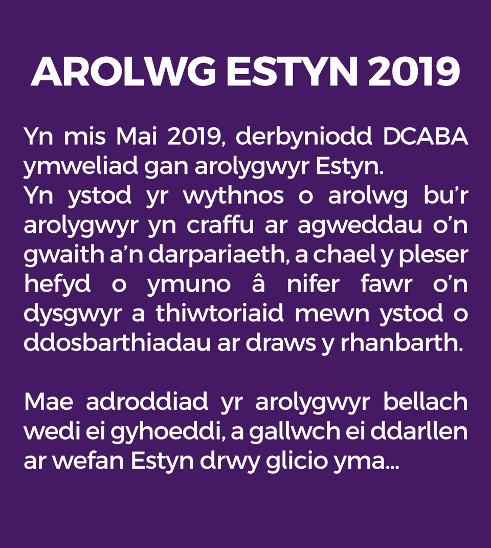 Adroddiad ESTYN 2019