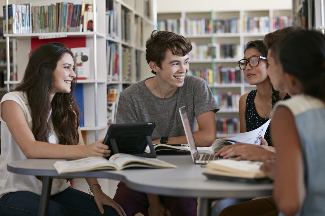 Options for Further Education Students
